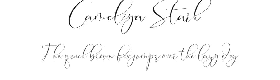 Cameliya Stark by Moly Mol β Script Handwritten Font
