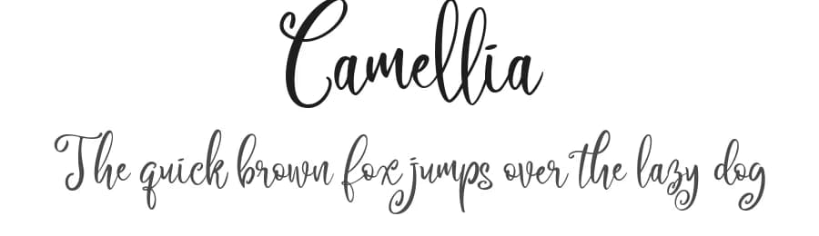 Camellia by Din Studio — Script Handwritten Font