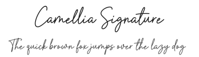 Camellia Signature by Picky Labs — Script Handwritten Font