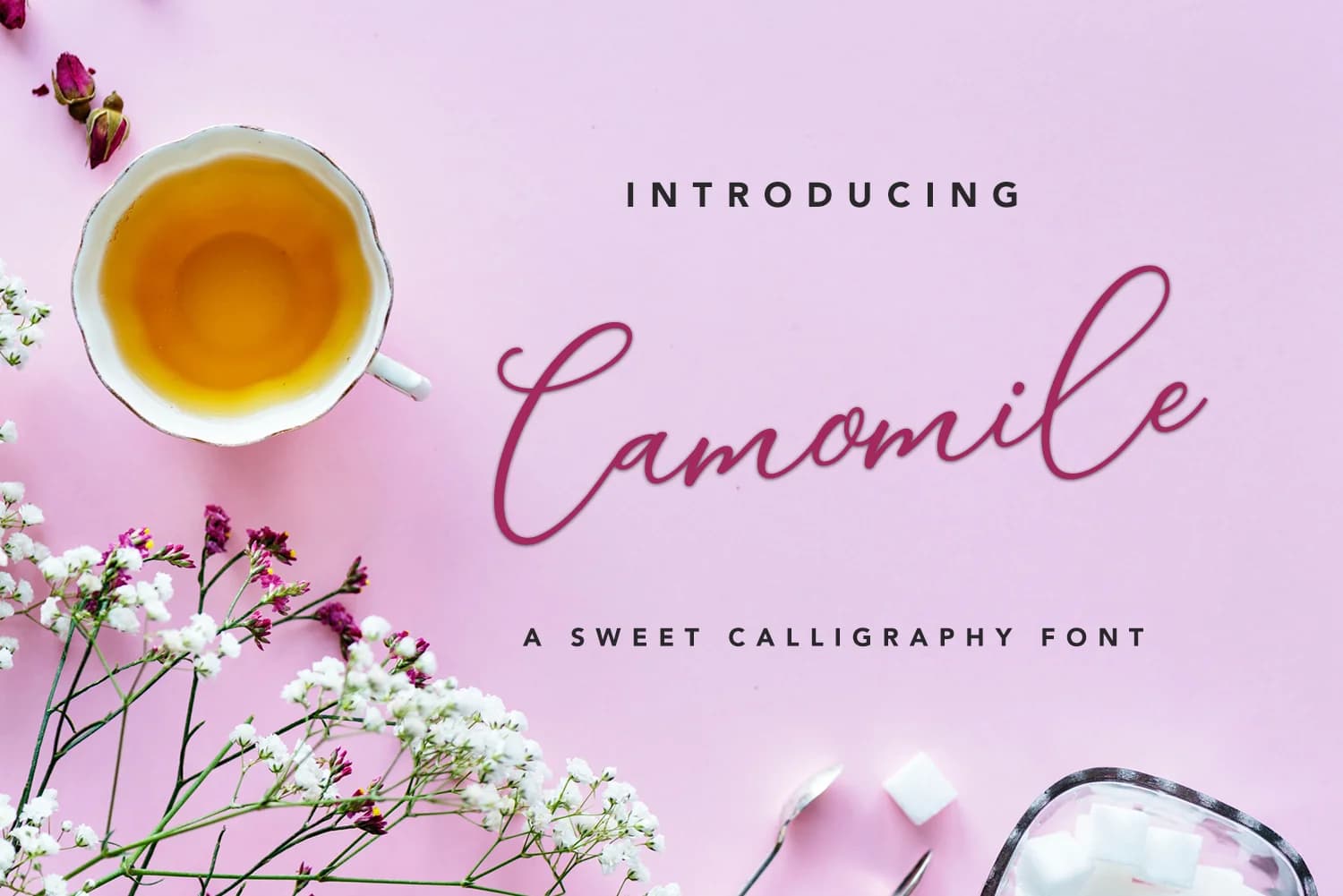 Camomile Script Font by petertype — Script Handwritten Font