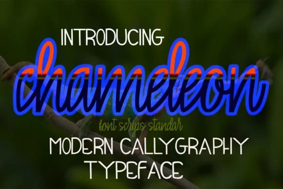 Chameleon Font by maydhen studio — Script Handwritten Font