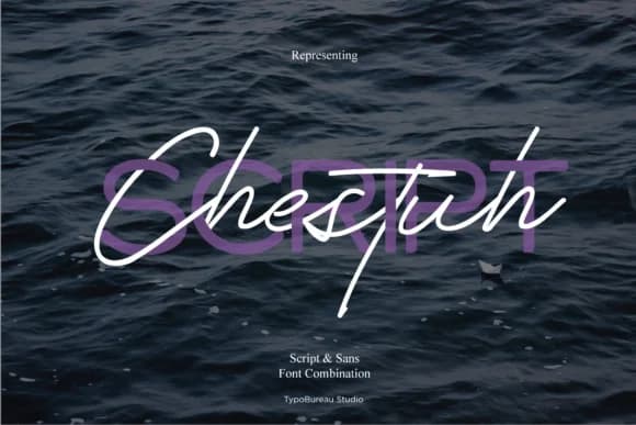 Chestuh Duo Font by typobureaustudio — Script Handwritten Font