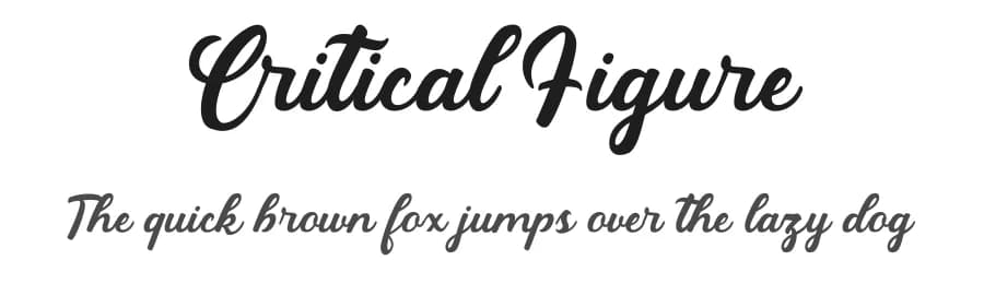 Critical Figure by RantautypeStudio — Script Handwritten Font