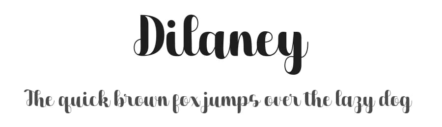 Dilaney by StringLabs Creative Studio — Script Handwritten Font