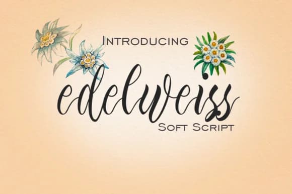 Edelweiss Font by mcjer.studio — Script Handwritten Font