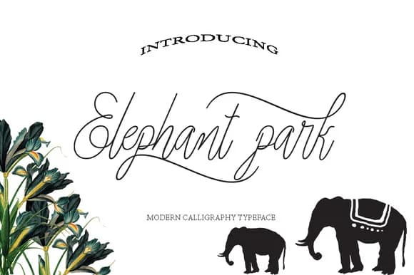 Elephant Park Font by Danti — Script Handwritten Font