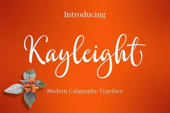 Kayleight Font by Byuly Ayika — Script Handwritten Font