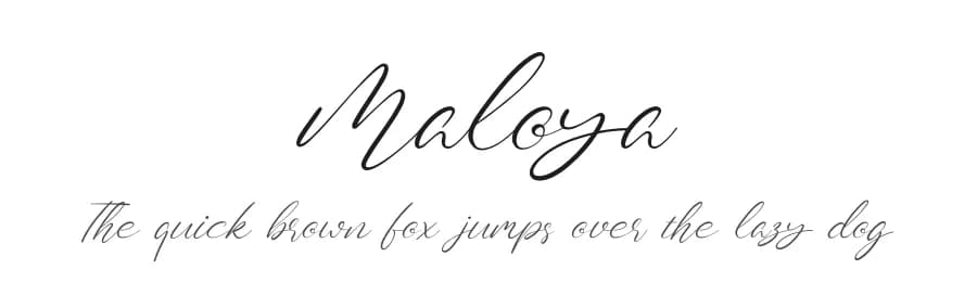 Maloya by DYSA Studio — Script Handwritten Font
