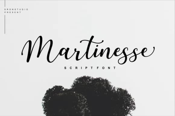 Martinesse Script Font by Sronstudio — Script Handwritten Font