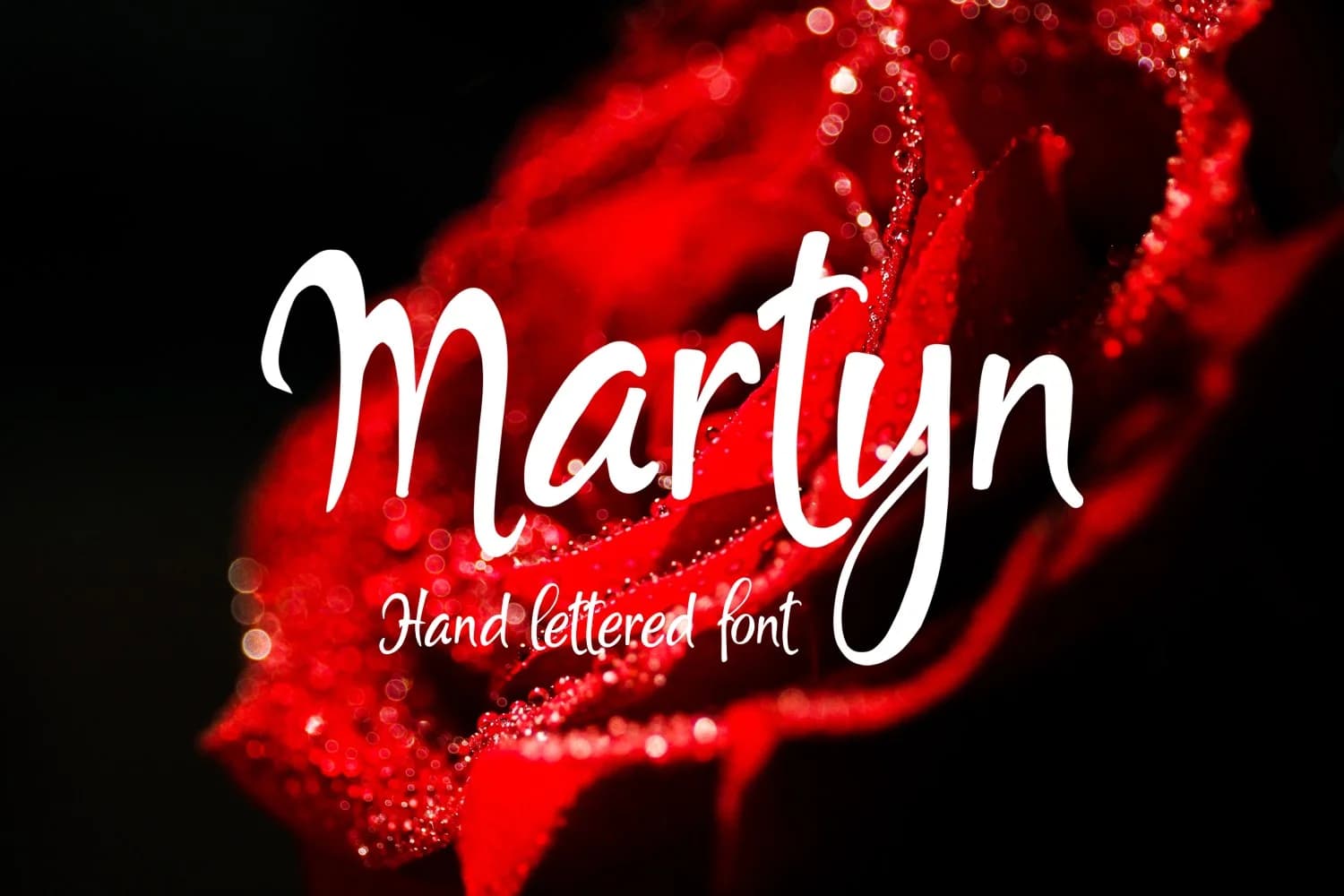 Martyn Font by Digital Typeface Studio — Script Handwritten Font