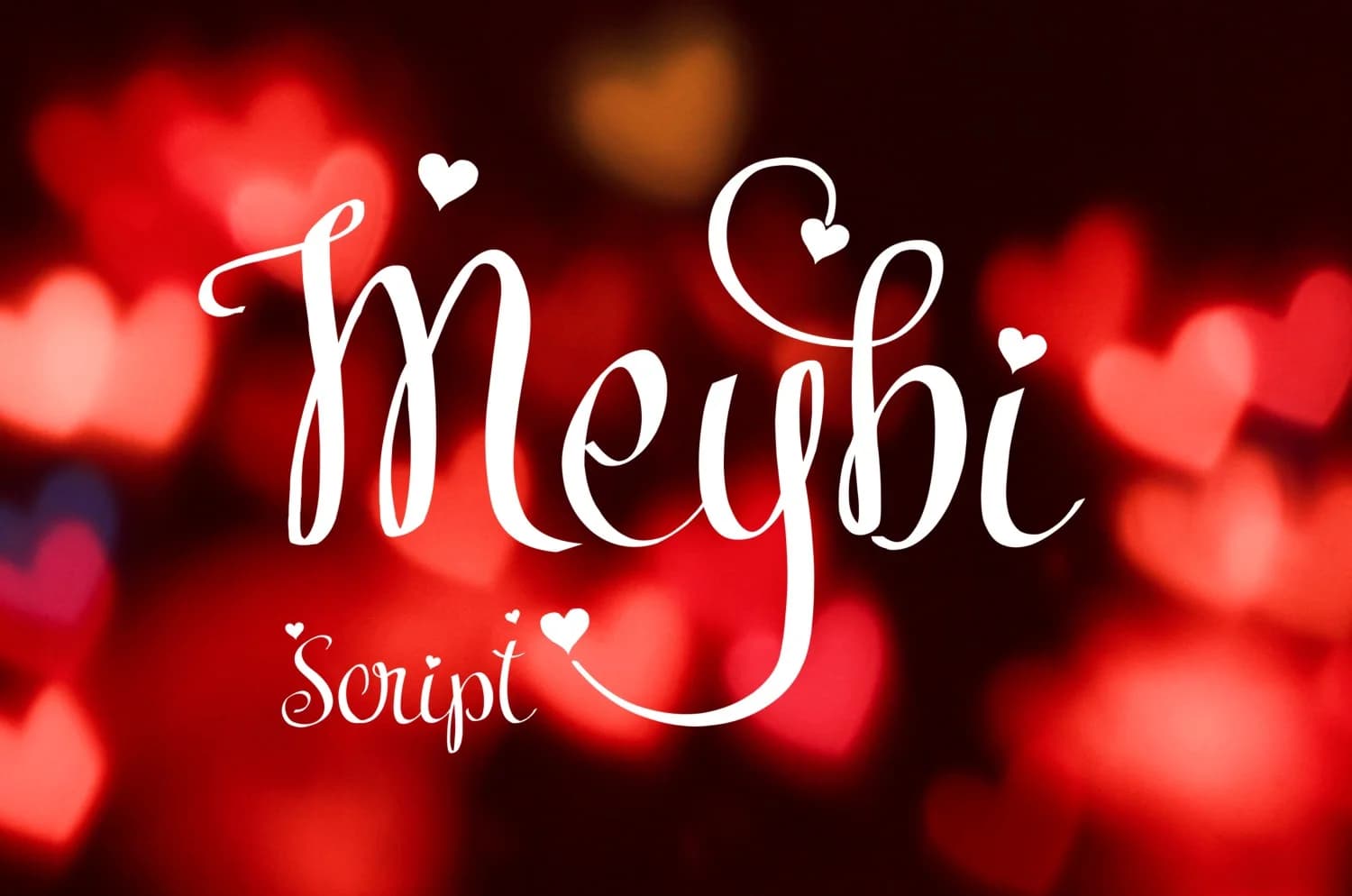 Meybi Font by Digital Typeface Studio — Script Handwritten Font