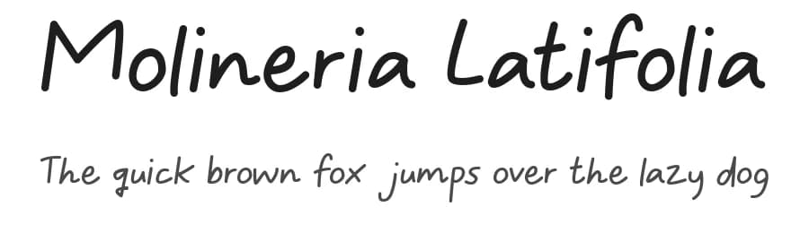 Molineria Latifolia by Wildan Type — Script Handwritten Font