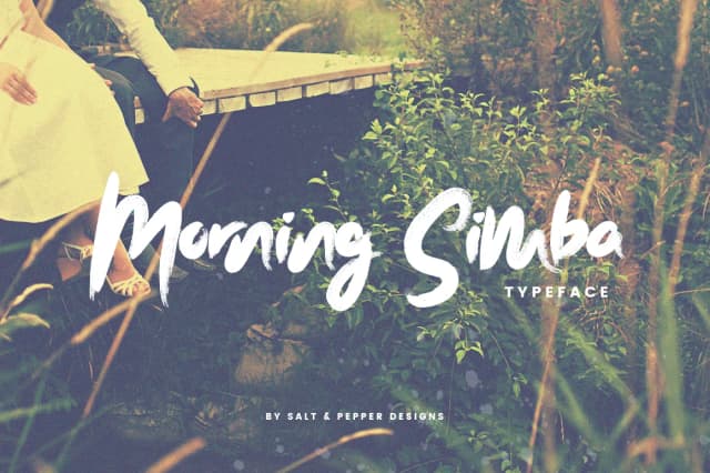 Morning Simba Script Font by Salt and Pepper Fonts — Script Handwritten Font