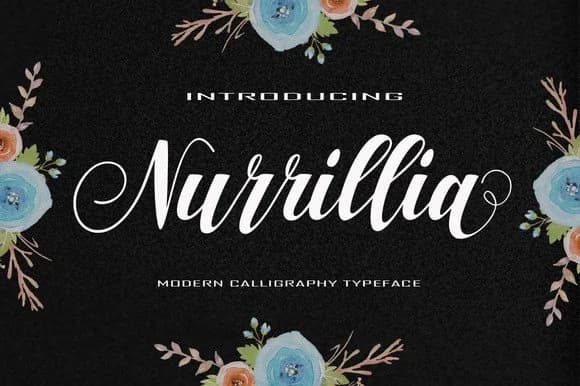 Nurrillia Font by Polem — Script Handwritten Font