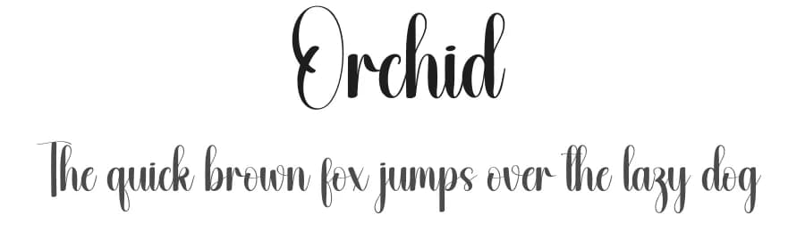 Orchid by Andi Moz — Script Handwritten Font