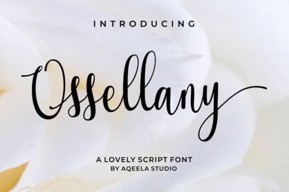 Ossellany Script Font by Aqeela Studio — Script Handwritten Font