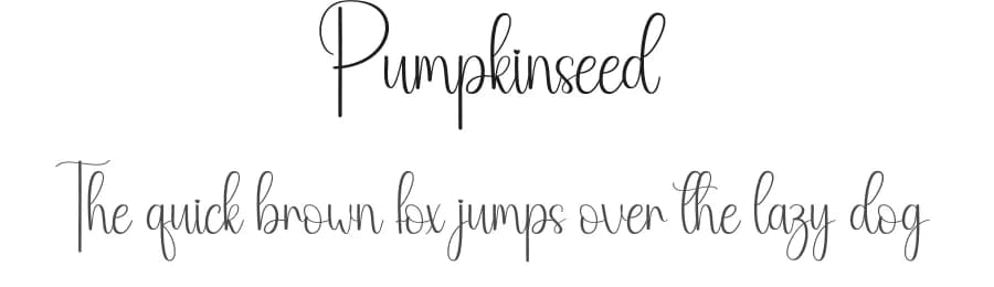 Pumpkinseed by Andi Moz — Script Handwritten Font