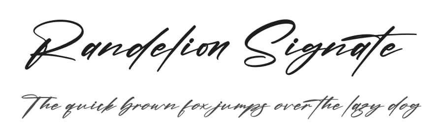 Randelion Signate by Letterena Studios — Script Handwritten Font