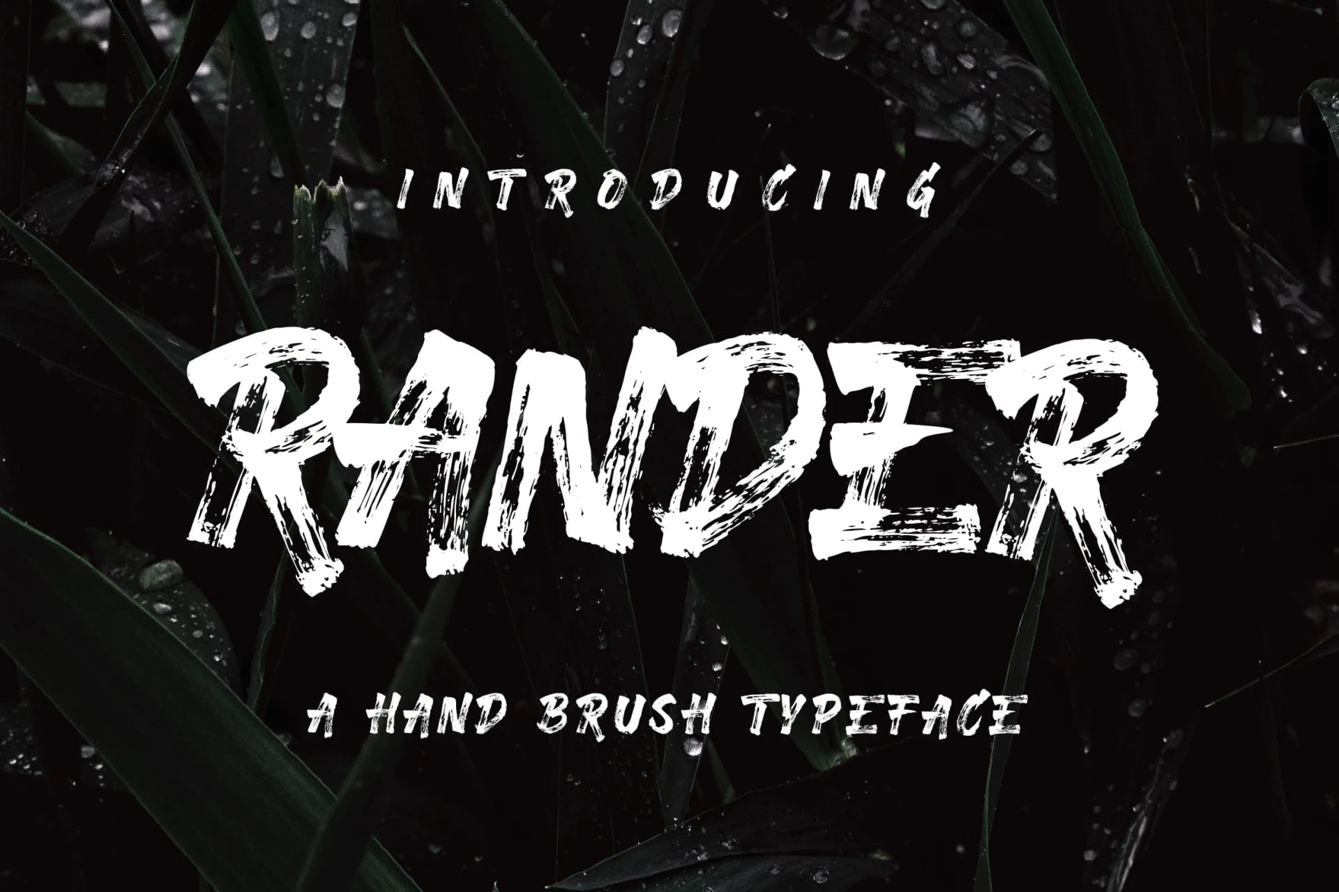 Rander Font by Visuelcolonie — Script Handwritten Font