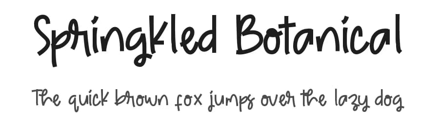 Springkled Botanical by ONG Type — Script Handwritten Font