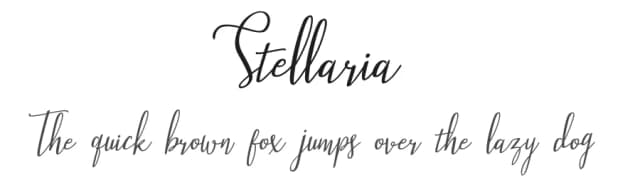 Stellaria by Tezar Tantular — Script Handwritten Font