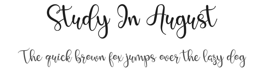 Study In August by Airotype — Script Handwritten Font