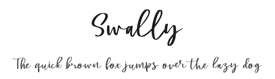Swally by DM Letter Studio - Dimas Prasetyo — Script Handwritten Font