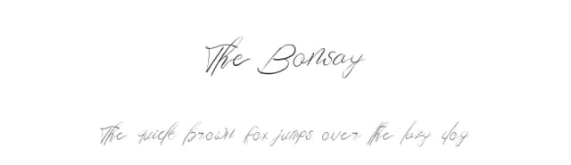 The Bonsay by kntype.co — Script Handwritten Font