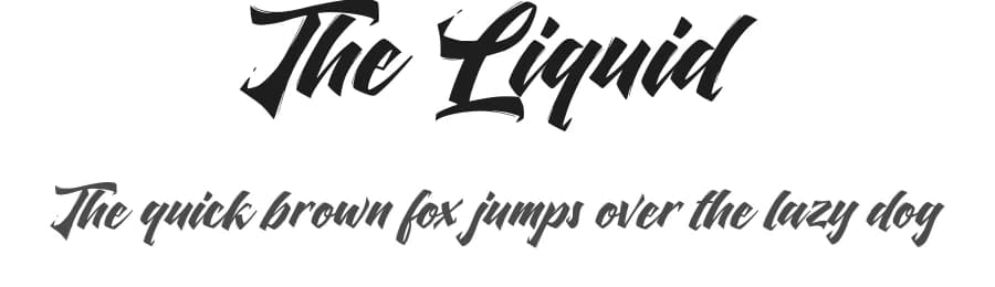 The Liquid by Octotype | Thomas Boucherie — Script Handwritten Font