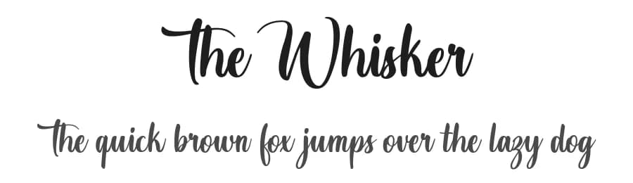 The Whisker by Octotype | Thomas Boucherie — Script Handwritten Font