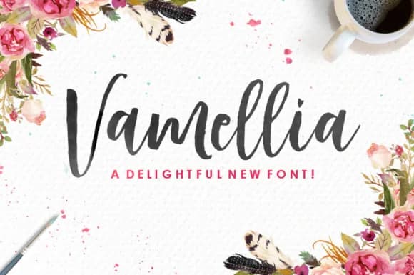Vamellia Font by Youngtype — Script Handwritten Font