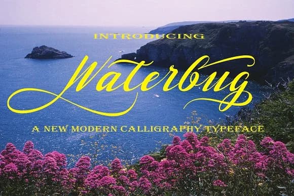 Waterbug Font by Danti — Script Handwritten Font