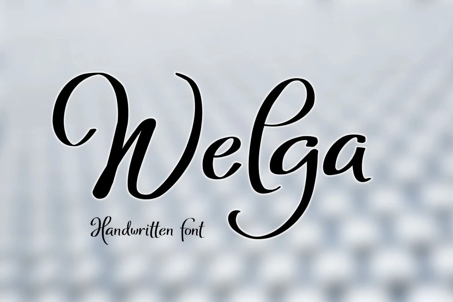 Welga Font by Digital Typeface Studio — Script Handwritten Font
