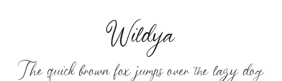 Wildya by Kong Font — Script Handwritten Font