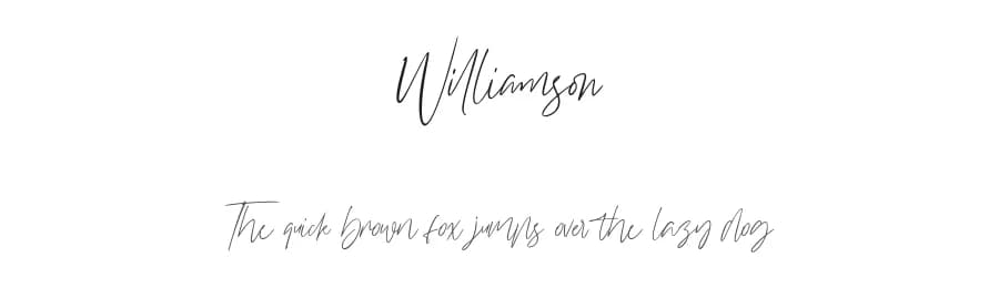 Williamson by StringLabs Creative Studio — Script Handwritten Font