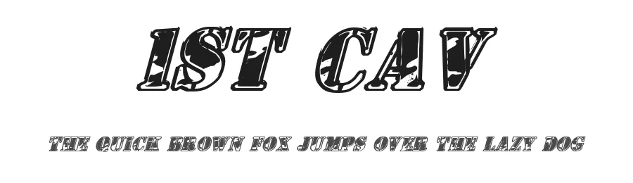 1st Cav