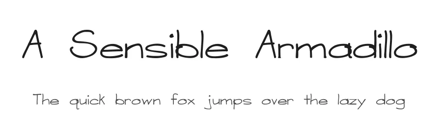 A Sensible Armadillo