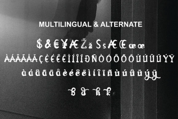 Abigdon Font by Rezastudio — Script Handwritten Font — thumbnail 9