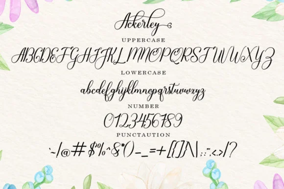 Ackerley Font by Black Studio — Script Handwritten Font — thumbnail 6