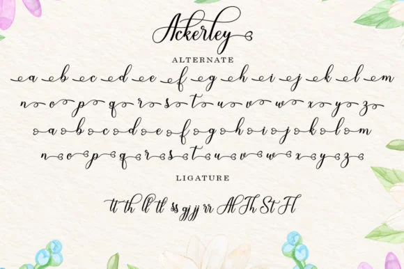 Ackerley Font by Black Studio — Script Handwritten Font — thumbnail 7