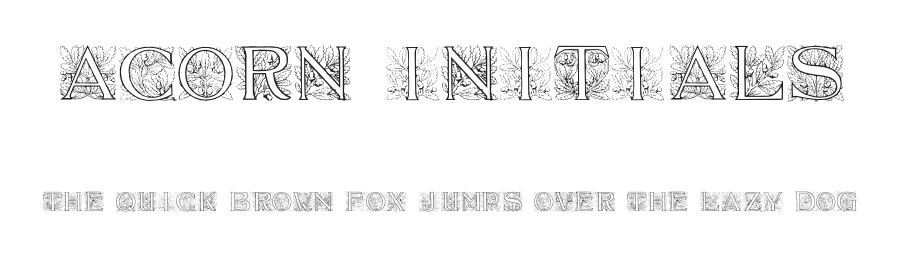 Acorn Initials by Dieter Steffmann β Decorative Font