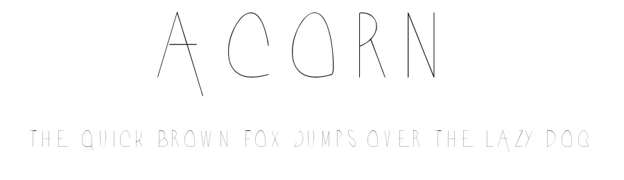 Acorn