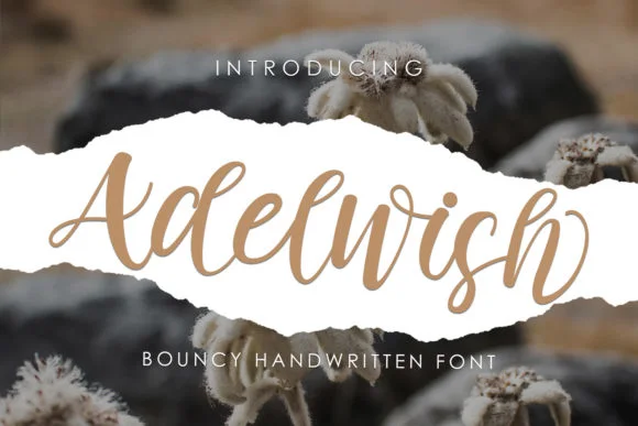 Adelwish Font by Nerdstudio β Script Handwritten Font