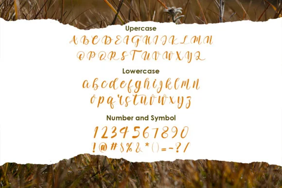Adelwish Font by Nerdstudio — Script Handwritten Font — thumbnail 2
