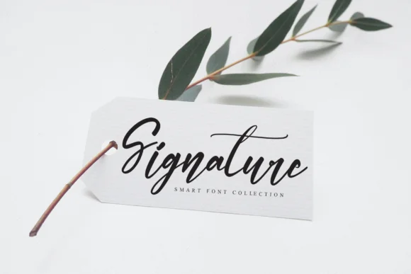 Affectionate Font by Misterletter.co by Misterletter.co — Script Handwritten Font — thumbnail 5