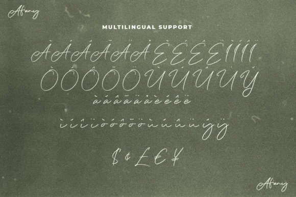 Afiany Font by Maulana Creative — Script Handwritten Font — thumbnail 5