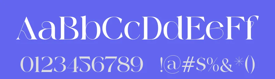 Against by 177Studio — Serif Font — thumbnail 3