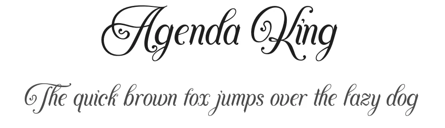 Agenda King