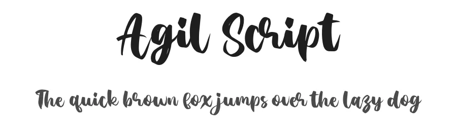 Agil Script