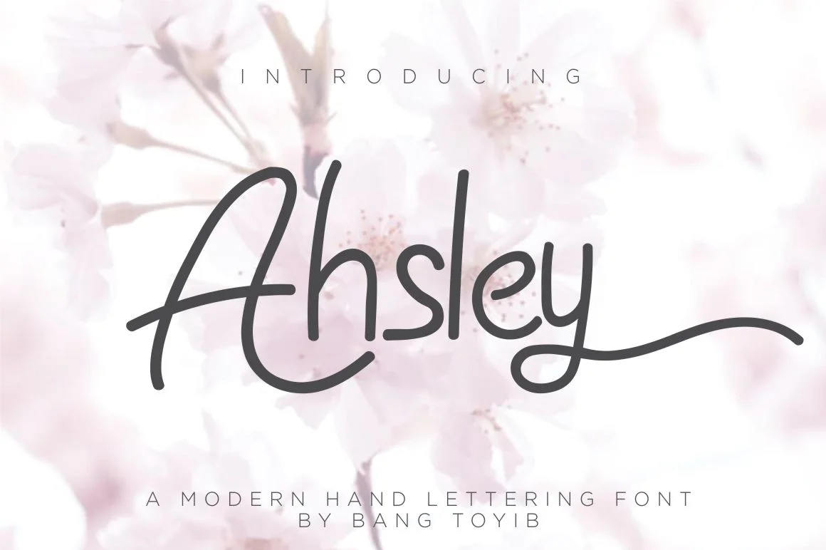 Ahsley Font by Eldertype Studio — Script Handwritten Font